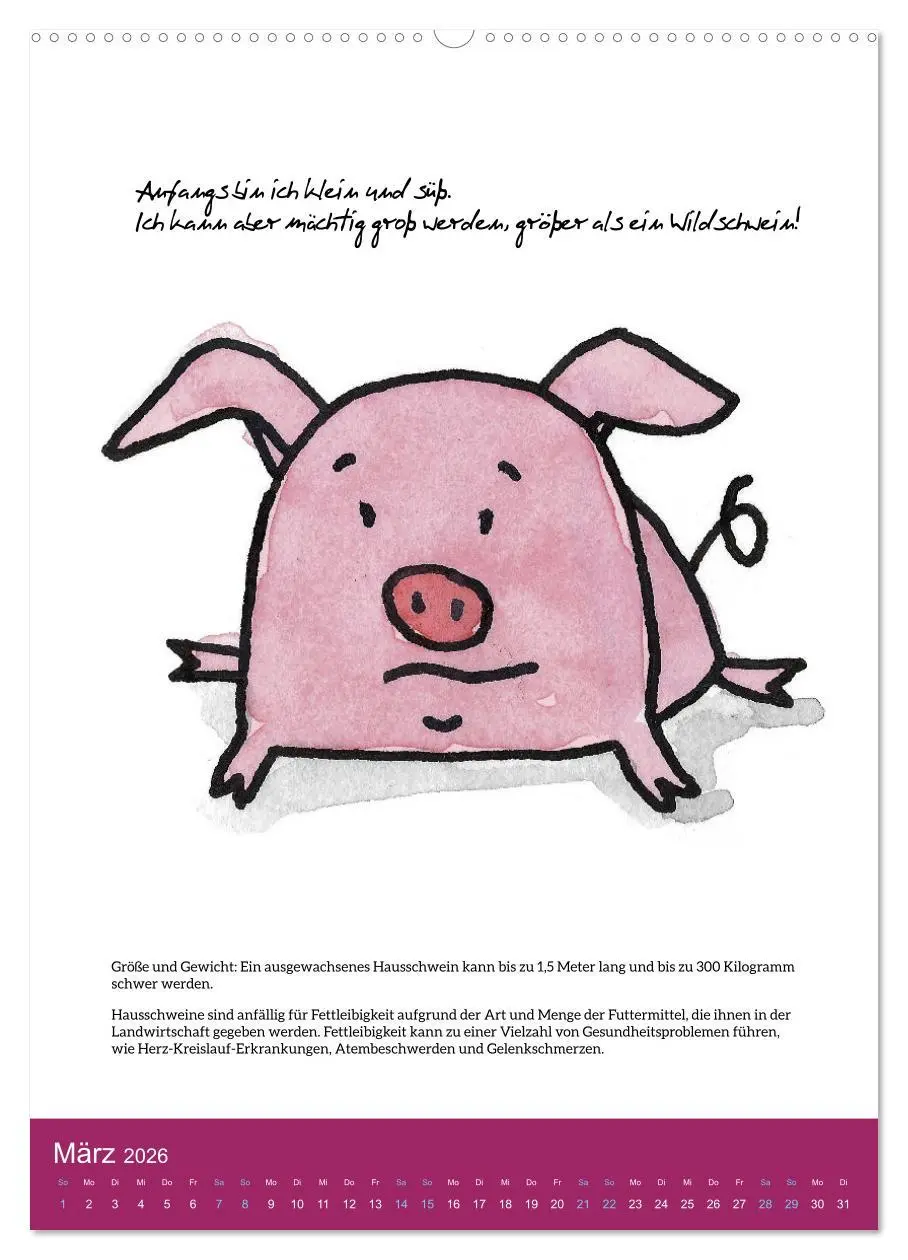 Bild: 9783516322644 | Schweinekalender - Alles was du über Schweine wissen wolltest!...