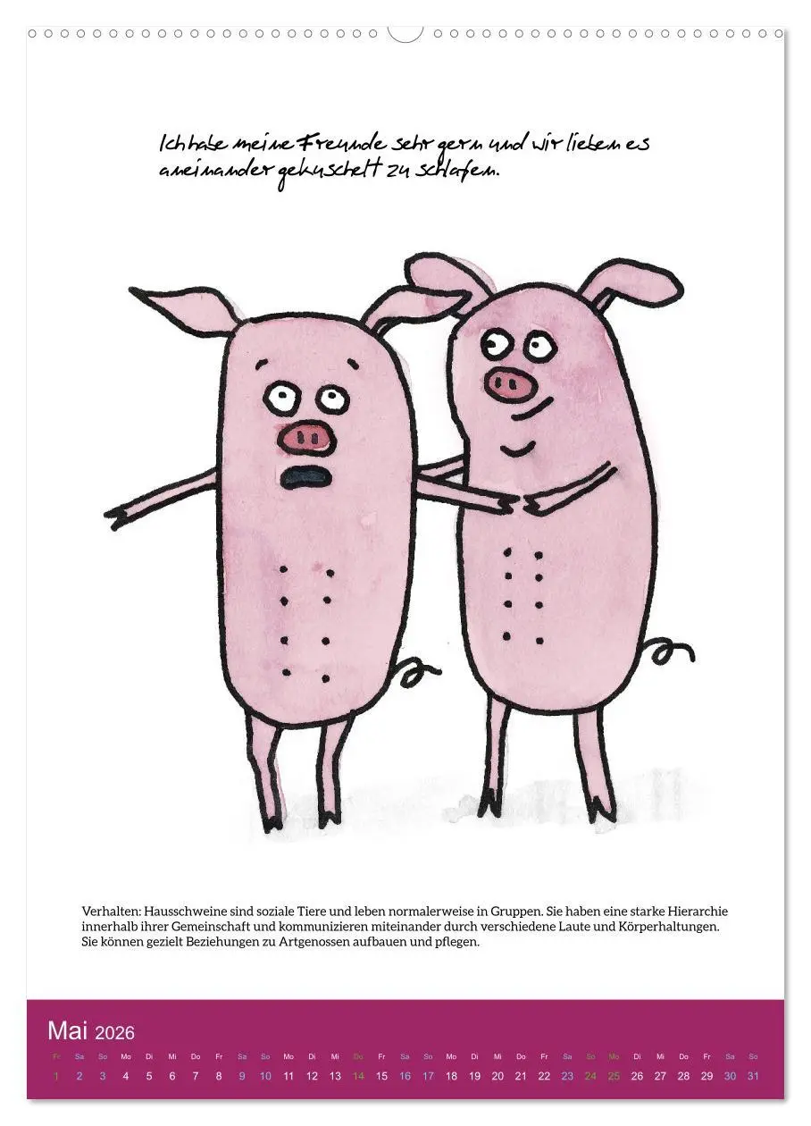 Bild: 9783516322644 | Schweinekalender - Alles was du über Schweine wissen wolltest!...
