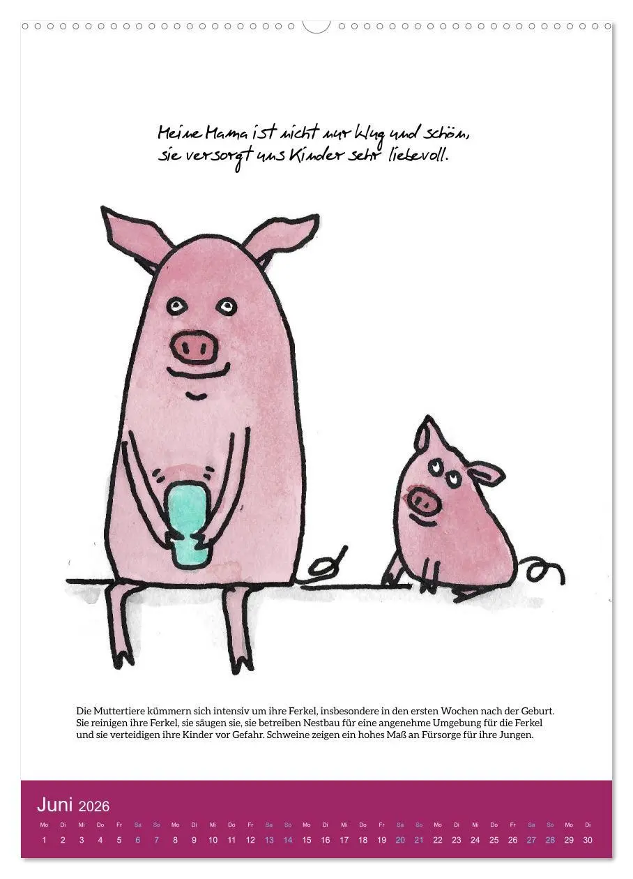 Bild: 9783516322644 | Schweinekalender - Alles was du über Schweine wissen wolltest!...