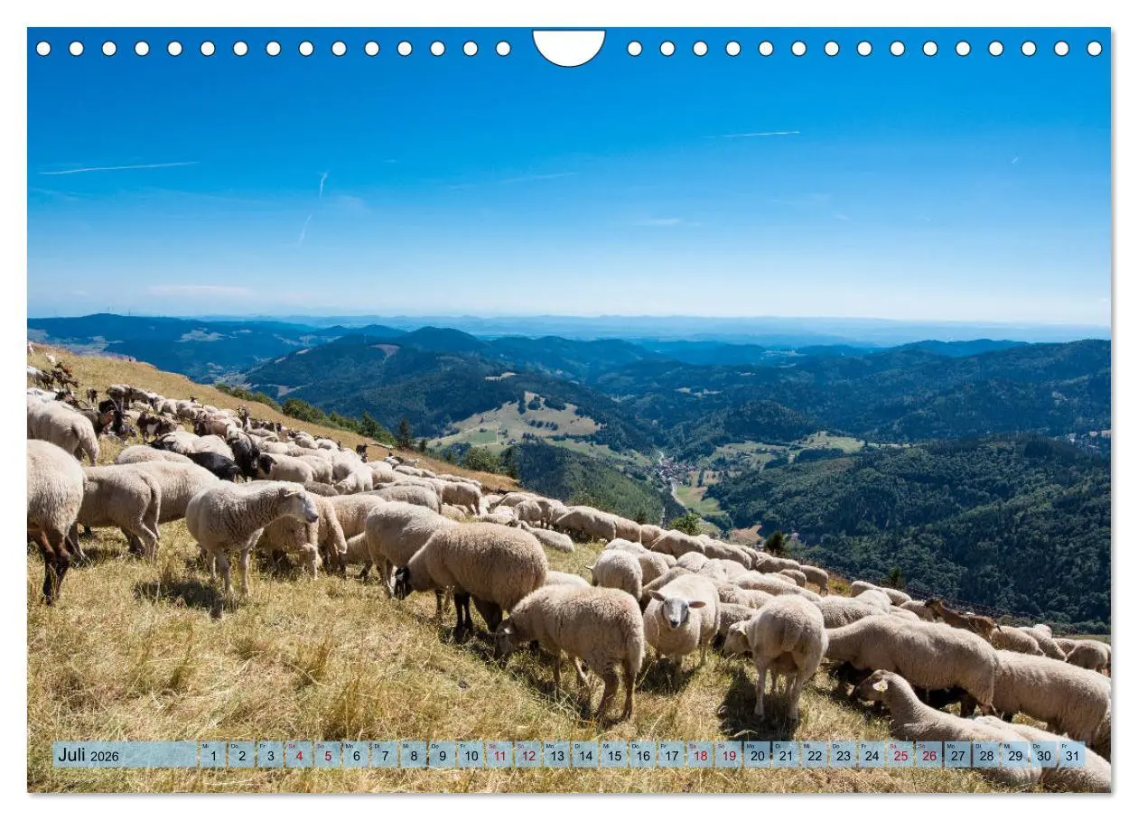 Bild: 9783457772744 | Nationalpark Schwarzwald - abwechslungsreiche Landschaften und...
