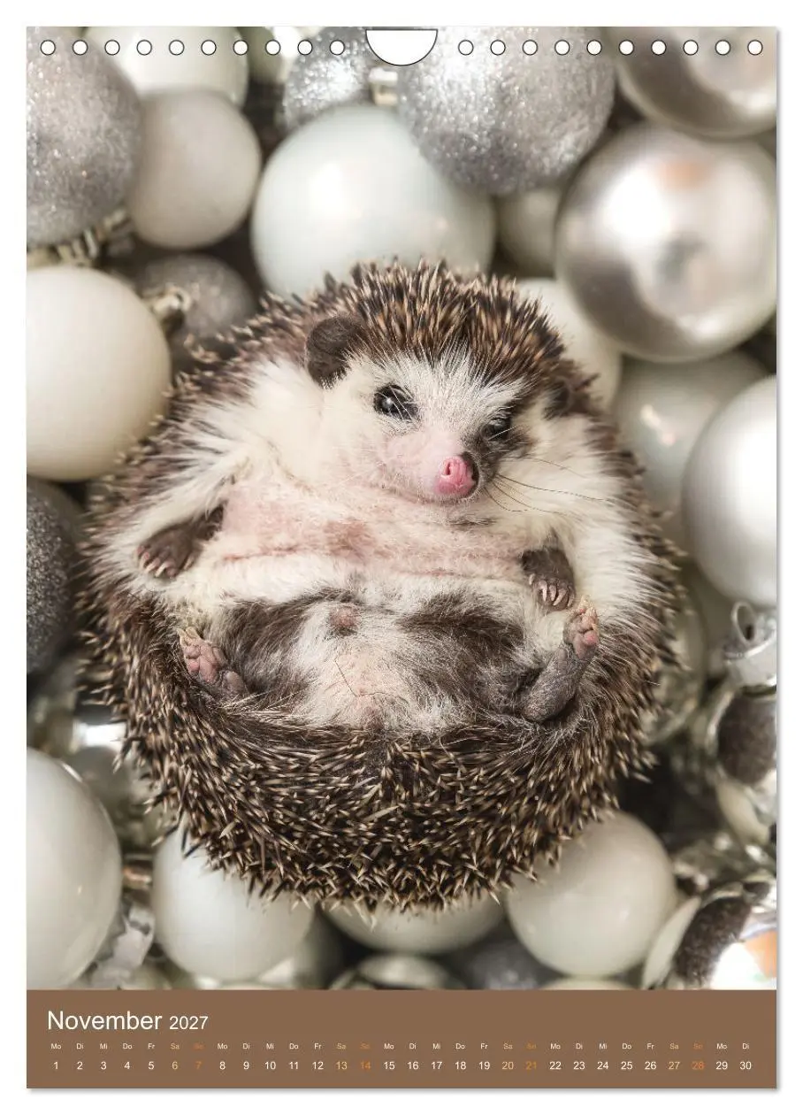 Bild: 9783569332744 | Gilbert der Igel (Wandkalender 2027 DIN A4 hoch), CALVENDO...