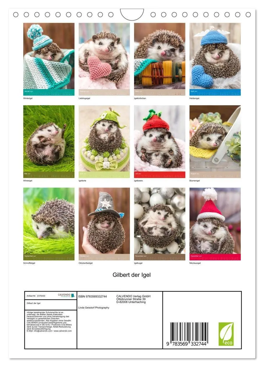 Bild: 9783569332744 | Gilbert der Igel (Wandkalender 2027 DIN A4 hoch), CALVENDO...