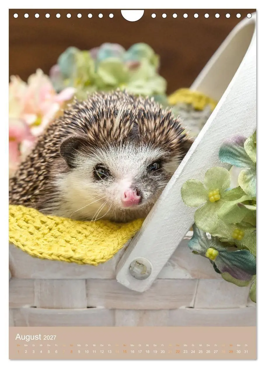 Bild: 9783569332744 | Gilbert der Igel (Wandkalender 2027 DIN A4 hoch), CALVENDO...