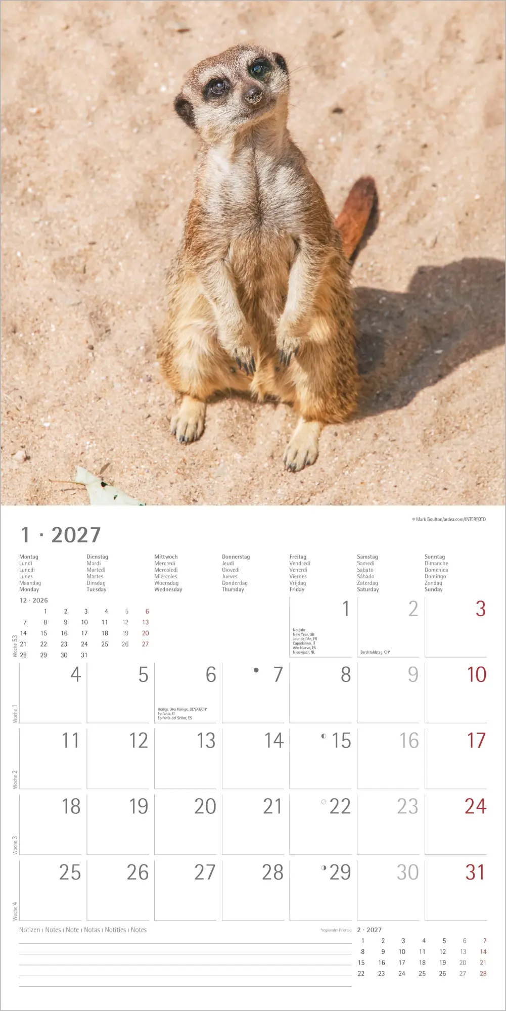 Bild: 4069095012844 | Erdmännchen 2027 | Neumann Verlage GmbH &amp; Co KG | Kalender | 14 S.