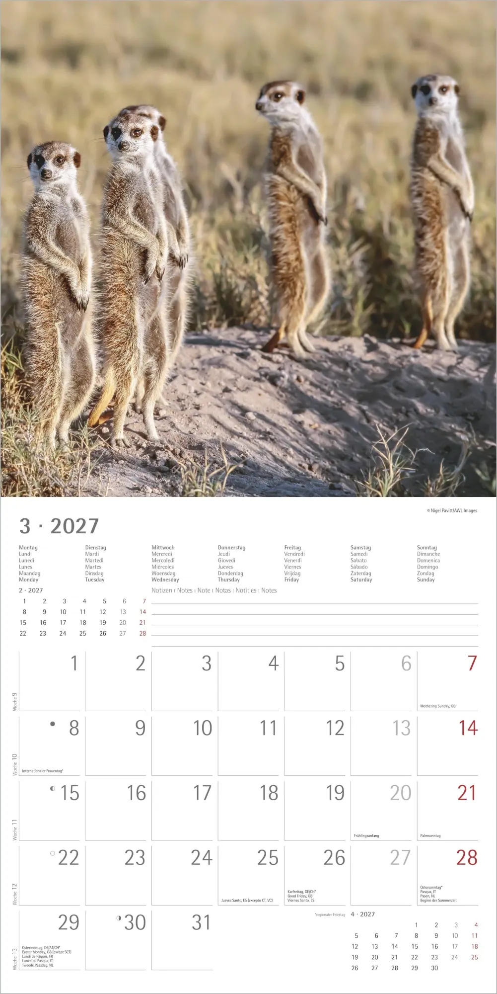 Bild: 4069095012844 | Erdmännchen 2027 | Neumann Verlage GmbH &amp; Co KG | Kalender | 14 S.