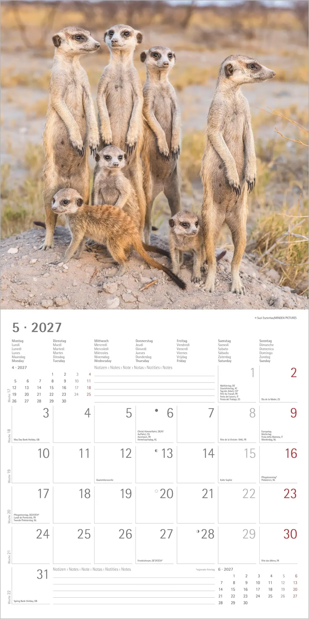 Bild: 4069095012844 | Erdmännchen 2027 | Neumann Verlage GmbH &amp; Co KG | Kalender | 14 S.
