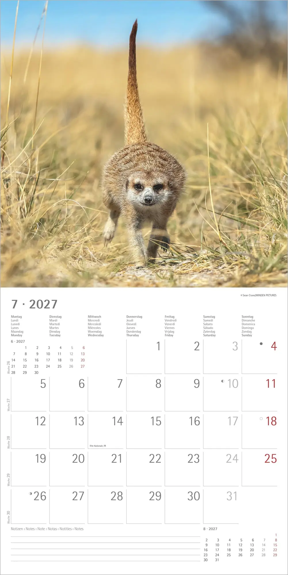 Bild: 4069095012844 | Erdmännchen 2027 | Neumann Verlage GmbH &amp; Co KG | Kalender | 14 S.