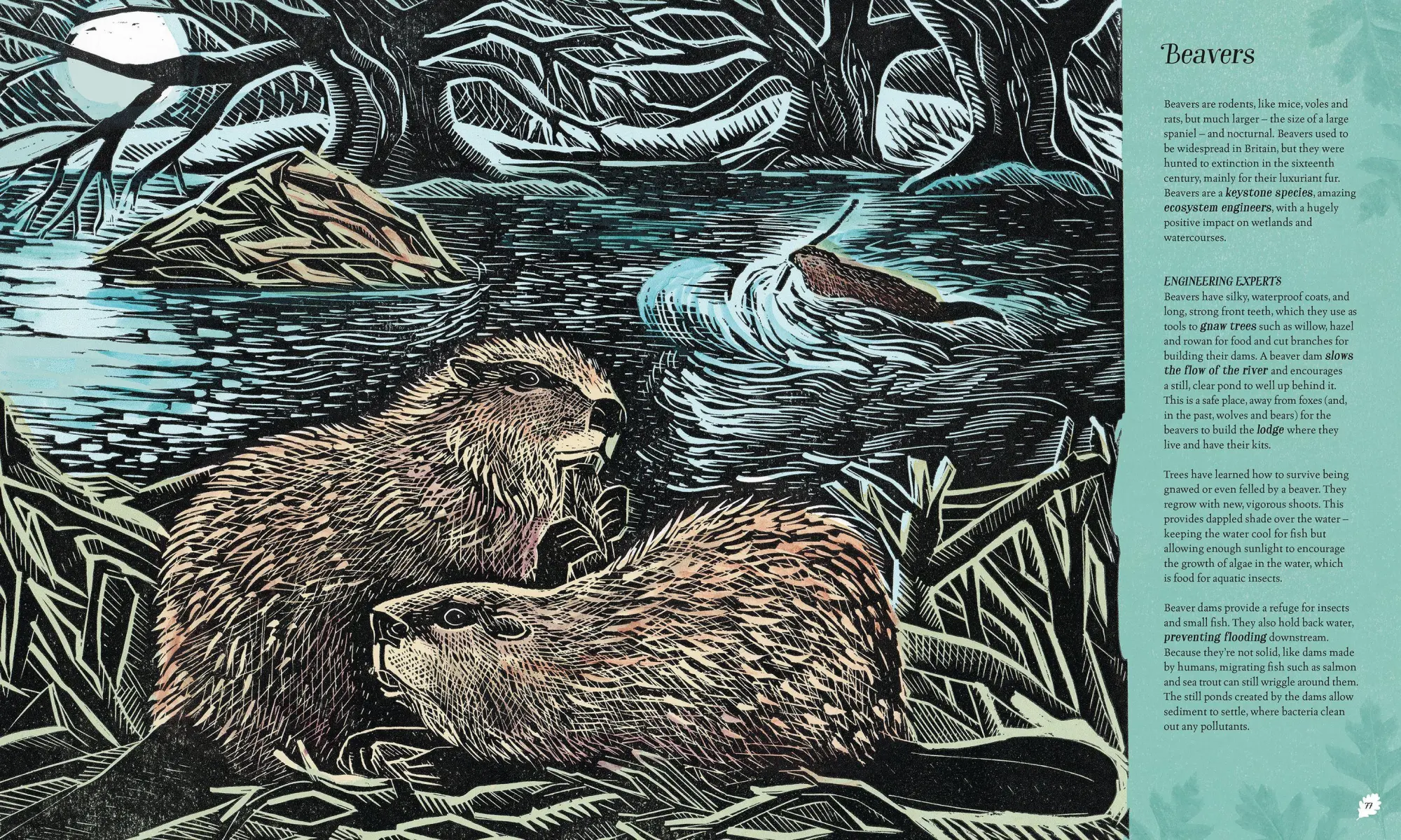 Bild: 9781529092844 | Wilding: How to Bring Wildlife Back - an Illustrated Guide | Tree