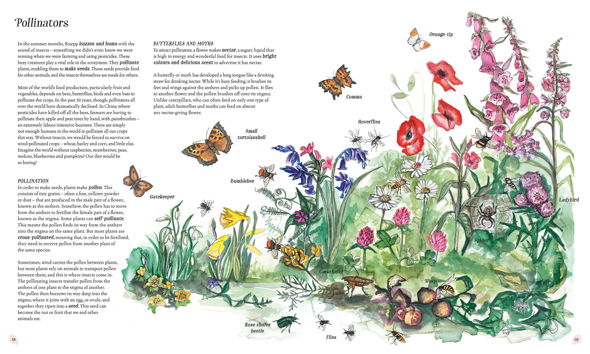 Bild: 9781529092844 | Wilding: How to Bring Wildlife Back - an Illustrated Guide | Tree