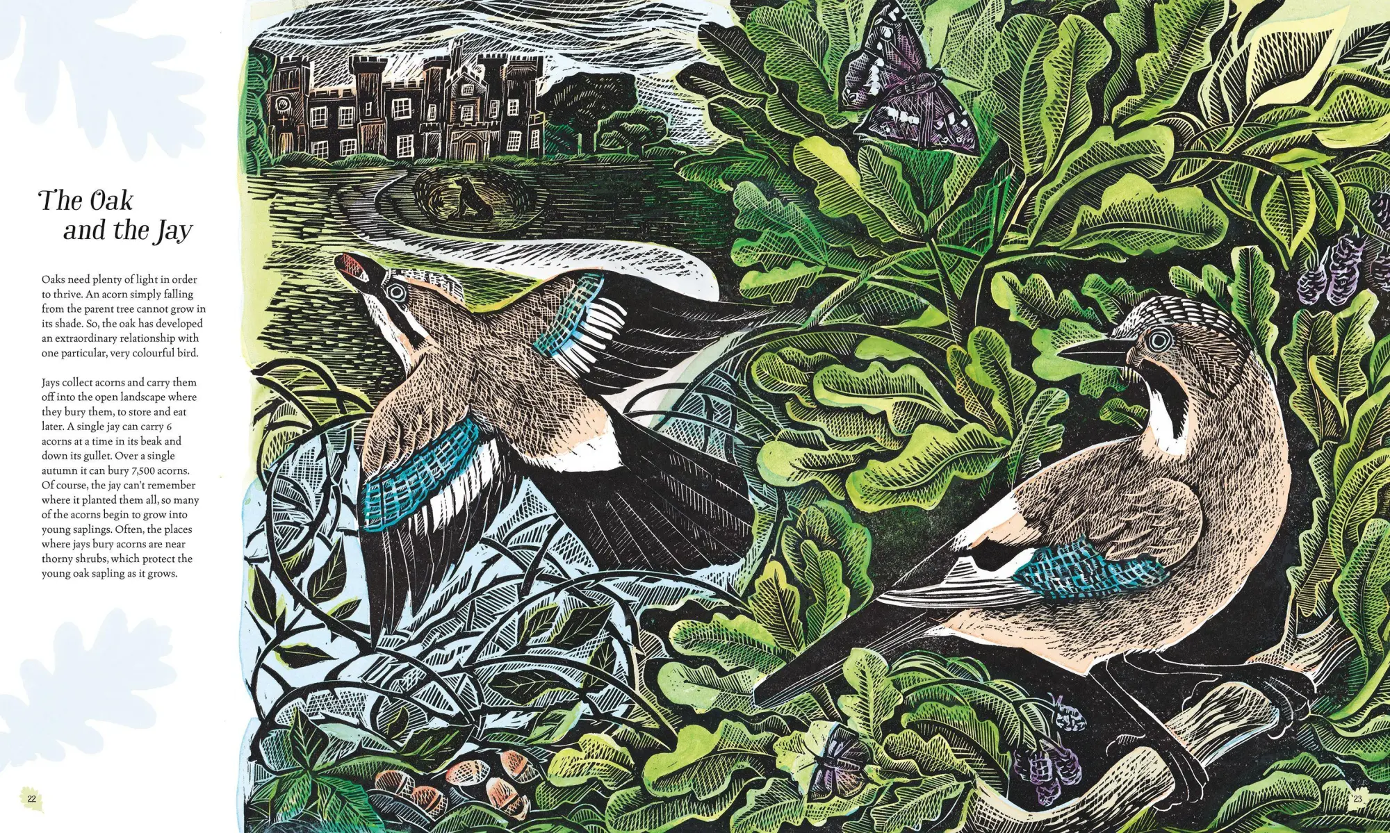 Bild: 9781529092844 | Wilding: How to Bring Wildlife Back - an Illustrated Guide | Tree