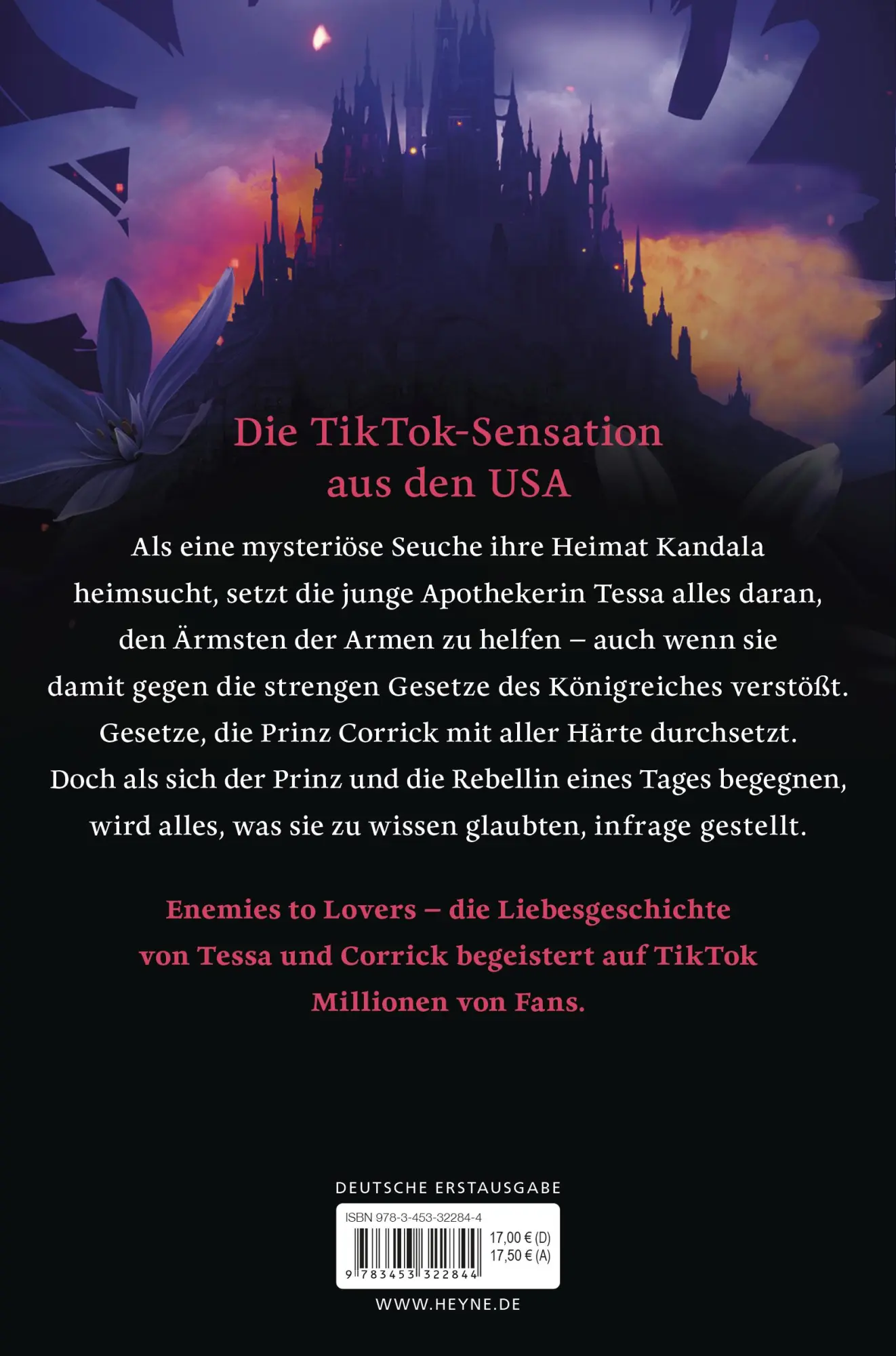 Bild: 9783453322844 | Trotze der Nacht | Die große TikTok-Sensation - Roman | Kemmerer