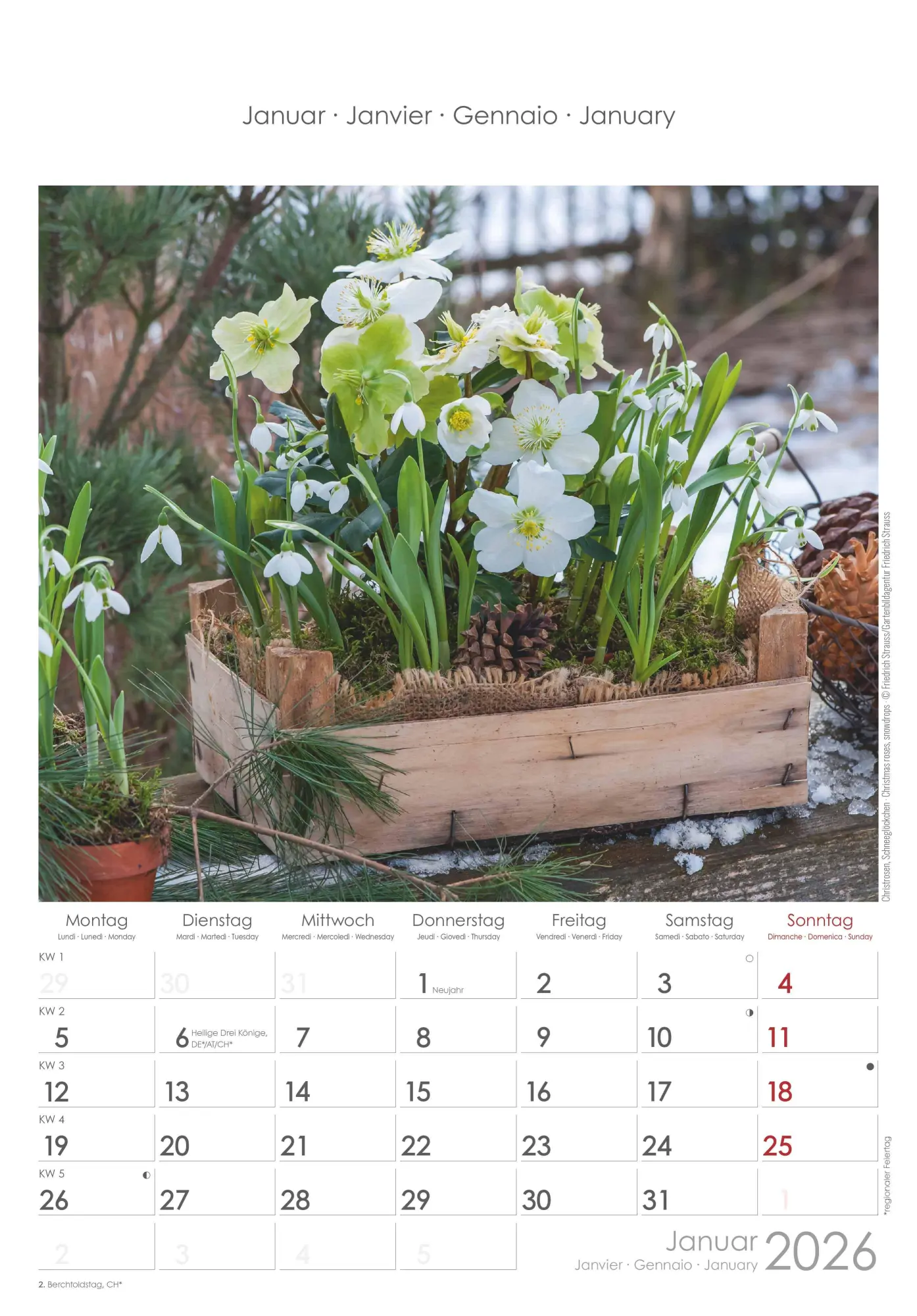 Bild: 4069095002944 | Blumen 2026 - Bildkalender 23,7x34 cm - Kalender mit Platz für...