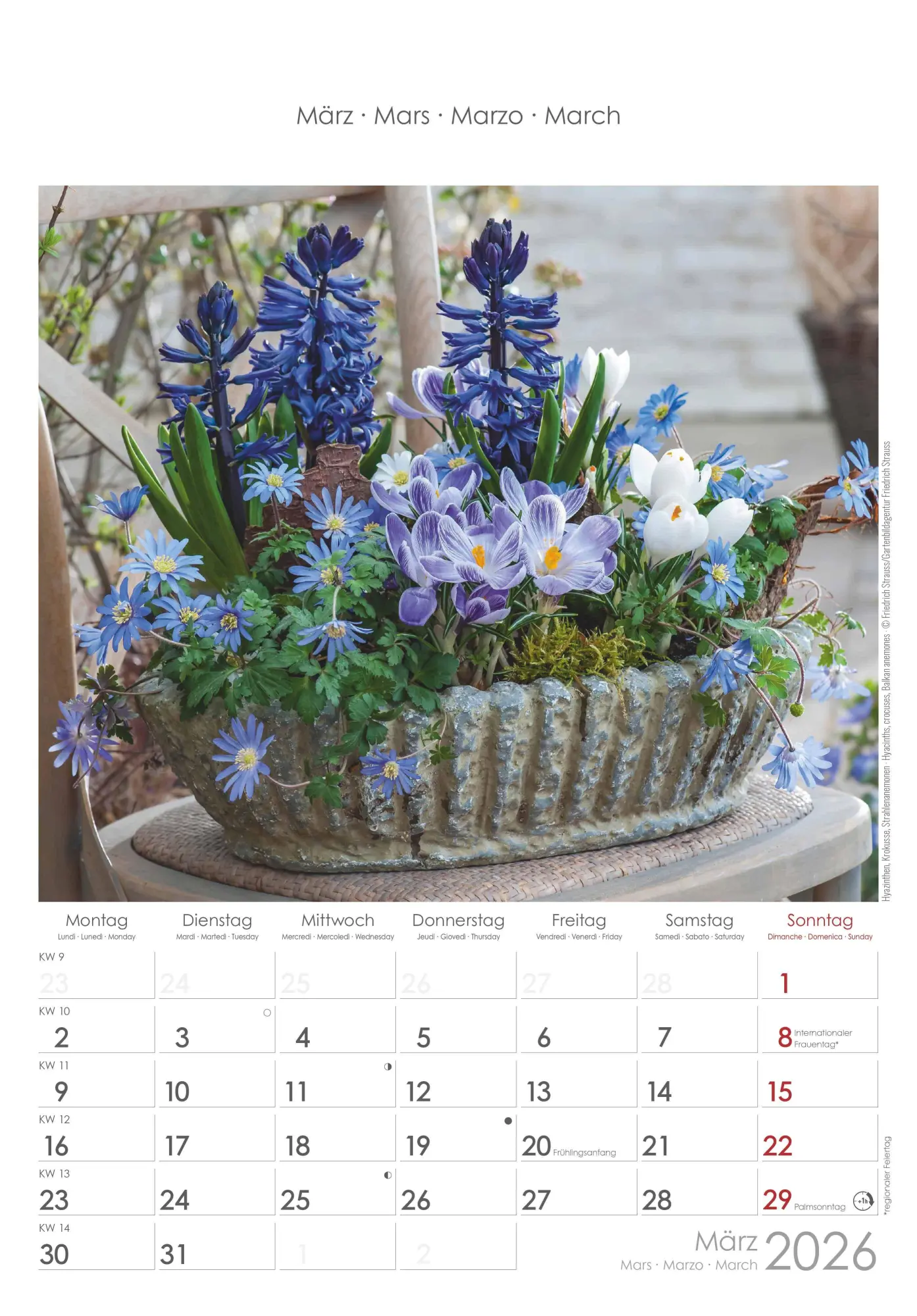 Bild: 4069095002944 | Blumen 2026 - Bildkalender 23,7x34 cm - Kalender mit Platz für...