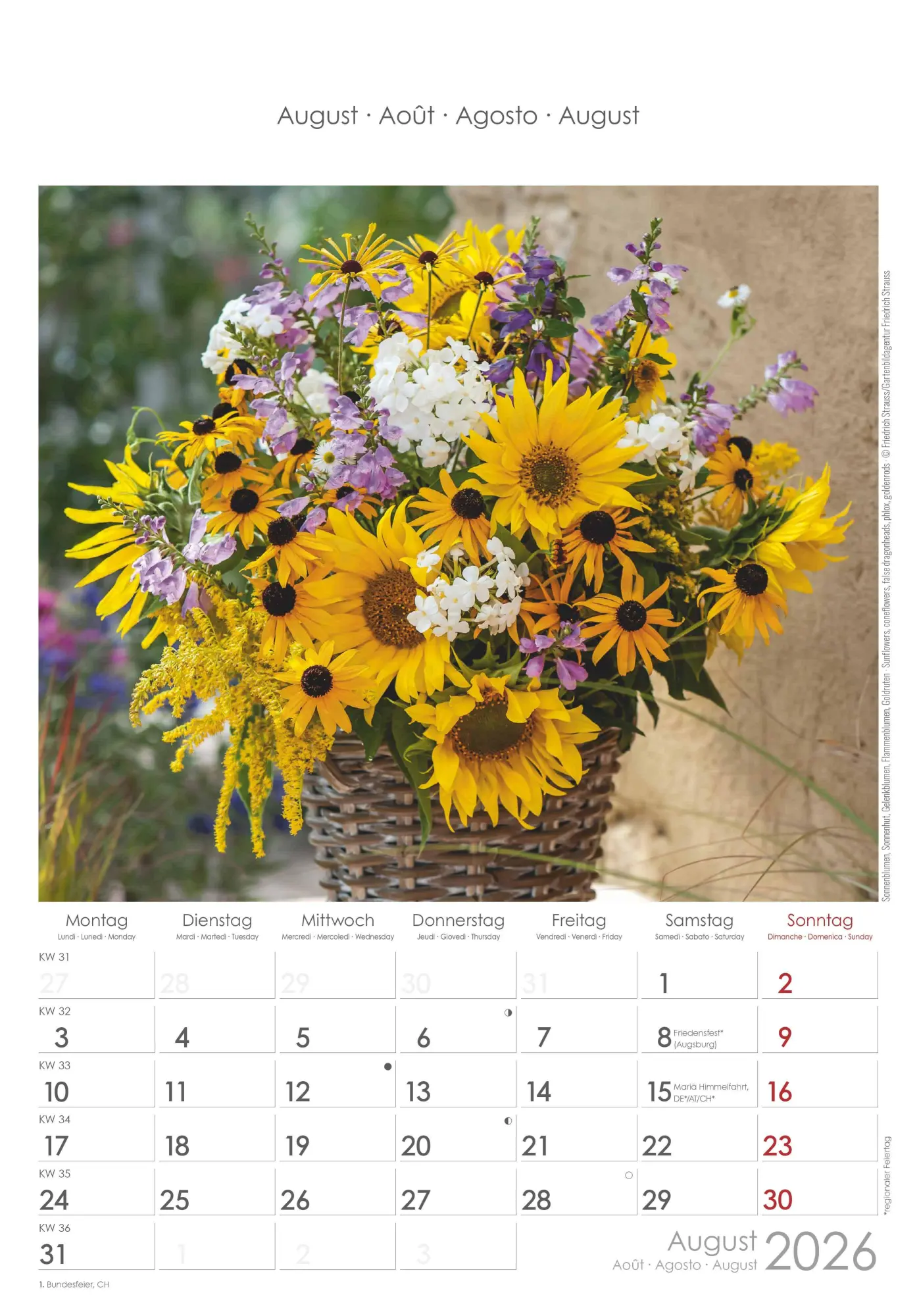 Bild: 4069095002944 | Blumen 2026 - Bildkalender 23,7x34 cm - Kalender mit Platz für...