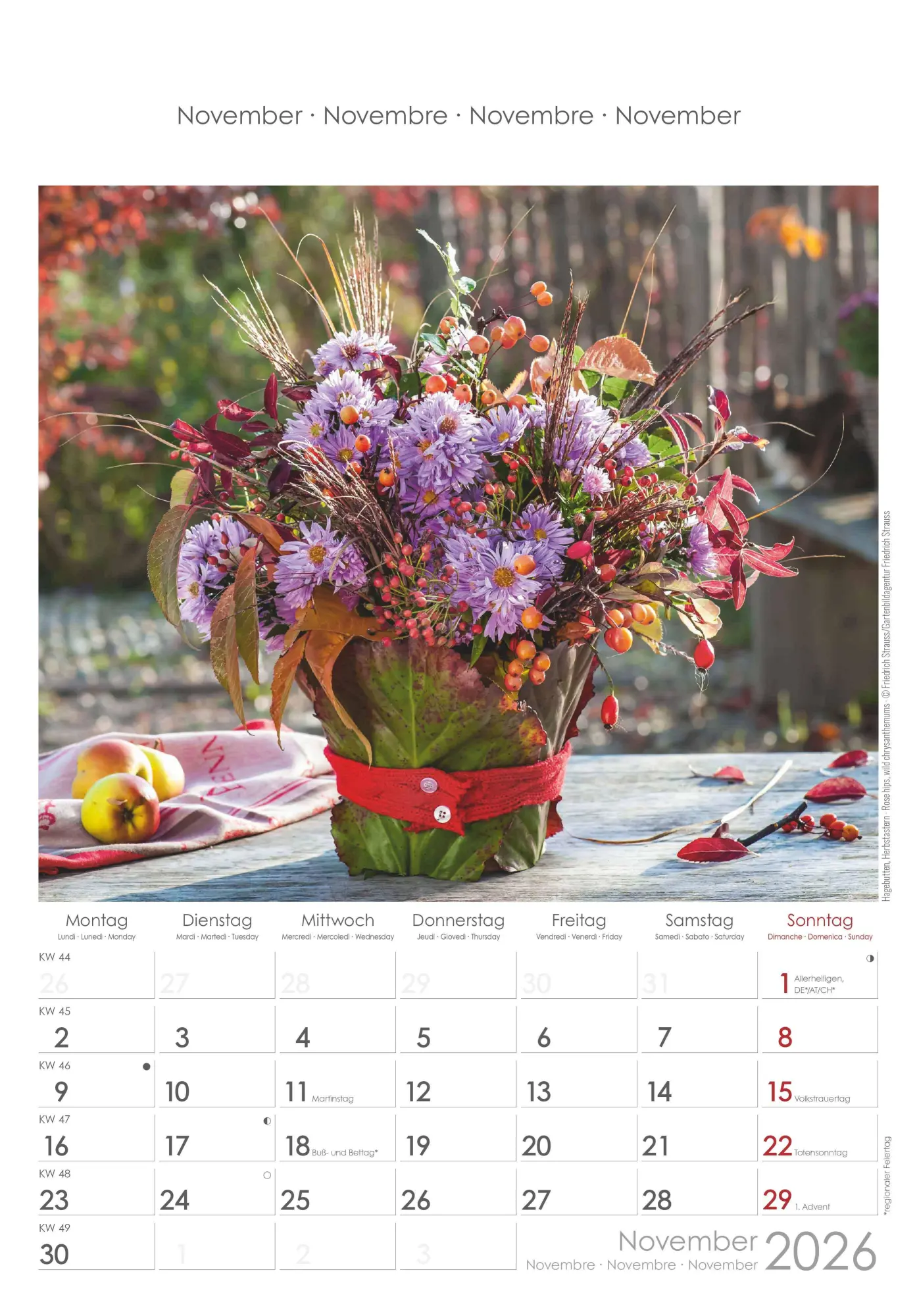 Bild: 4069095002944 | Blumen 2026 - Bildkalender 23,7x34 cm - Kalender mit Platz für...