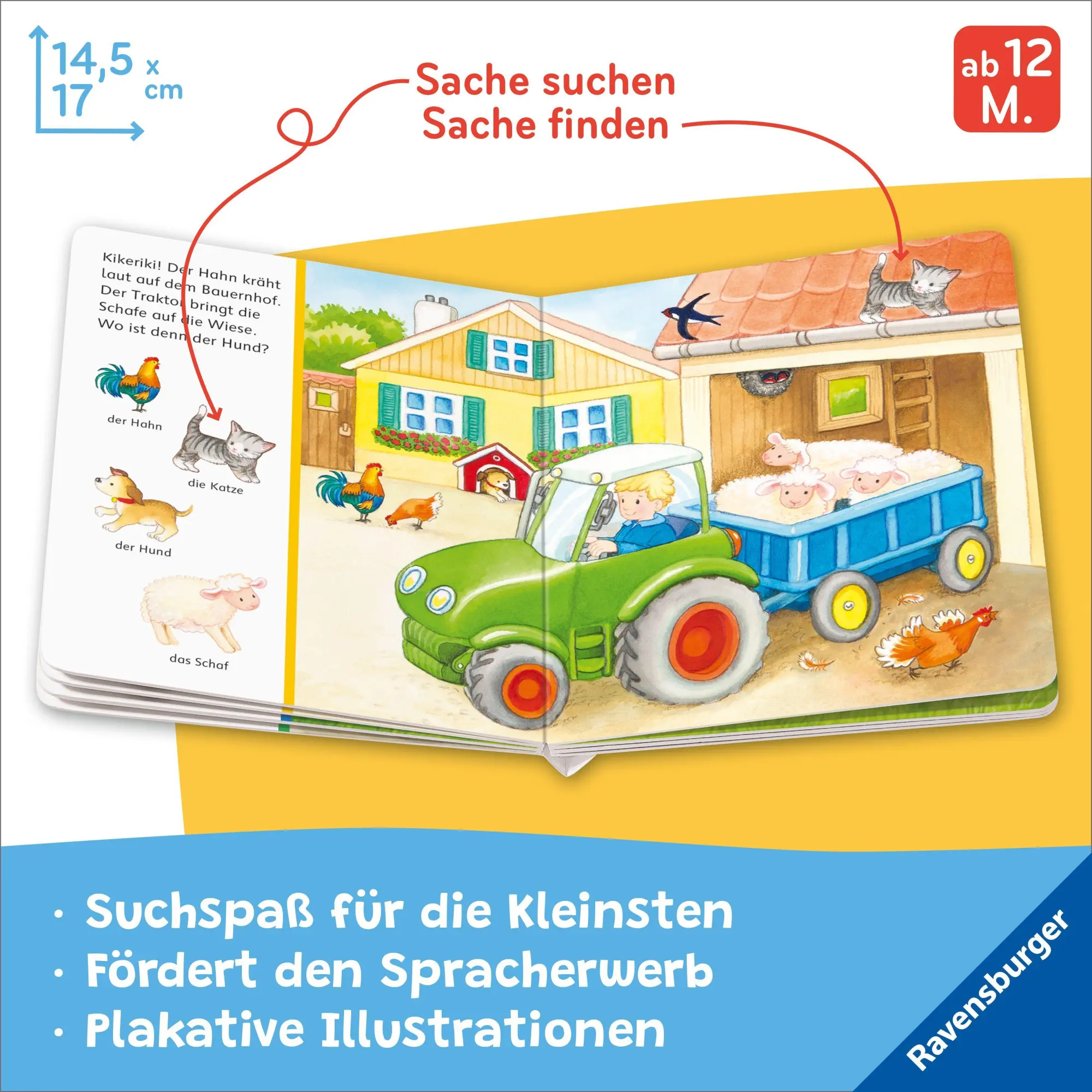 Bild: 9783473422944 | Mein erstes Sachen suchen: Bauernhof | Sandra Grimm | Buch | 16 S.