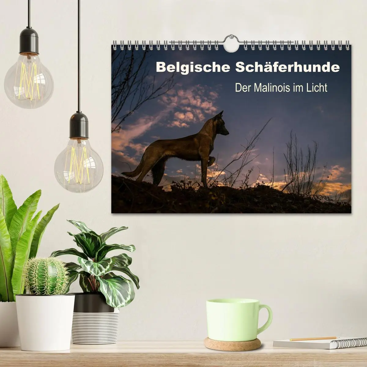 Bild: 9783516082944 | Belgische Schäferhunde - Der Malinois im Licht (Wandkalender 2026...