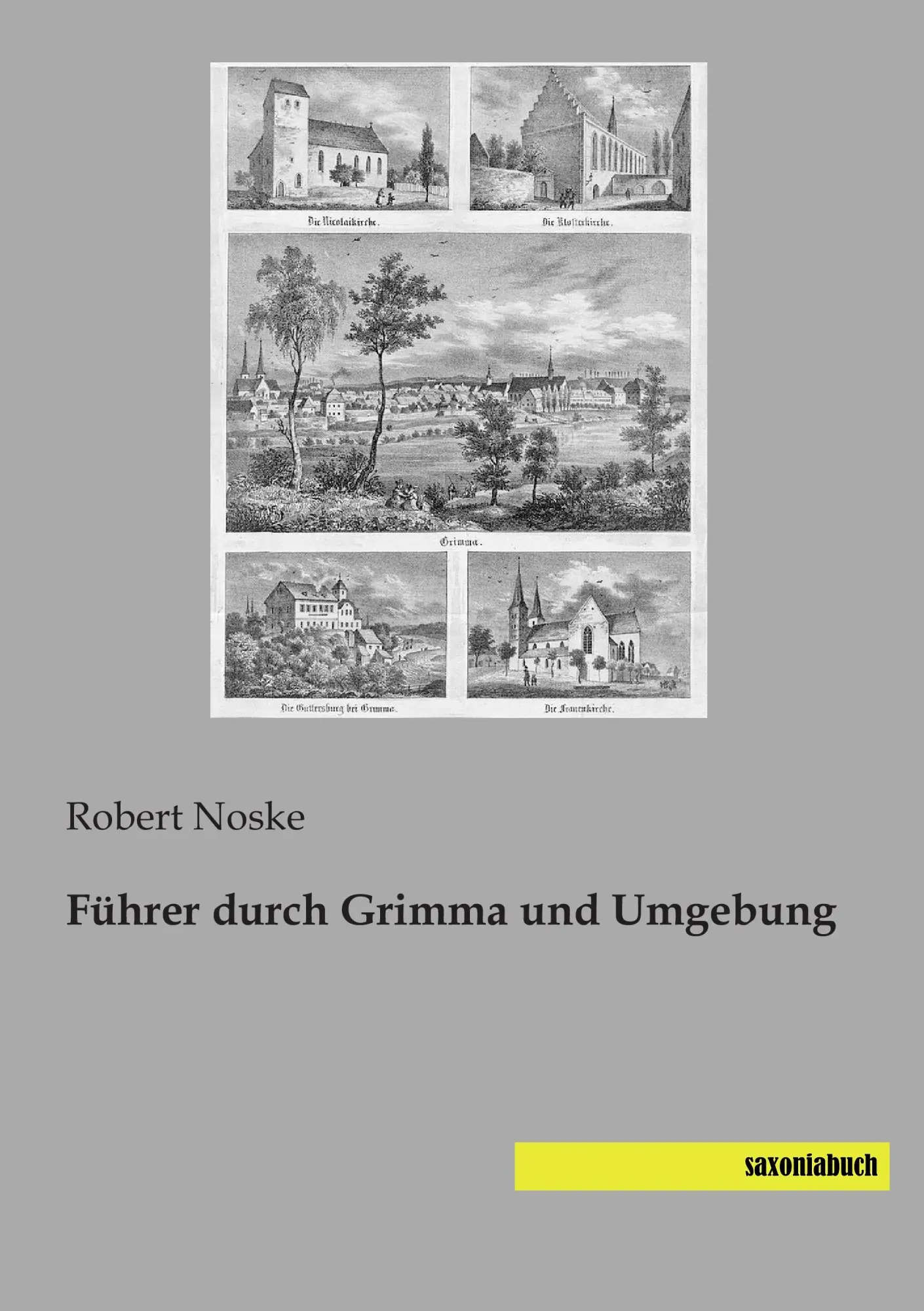 Führer durch Grimma und Umgebung