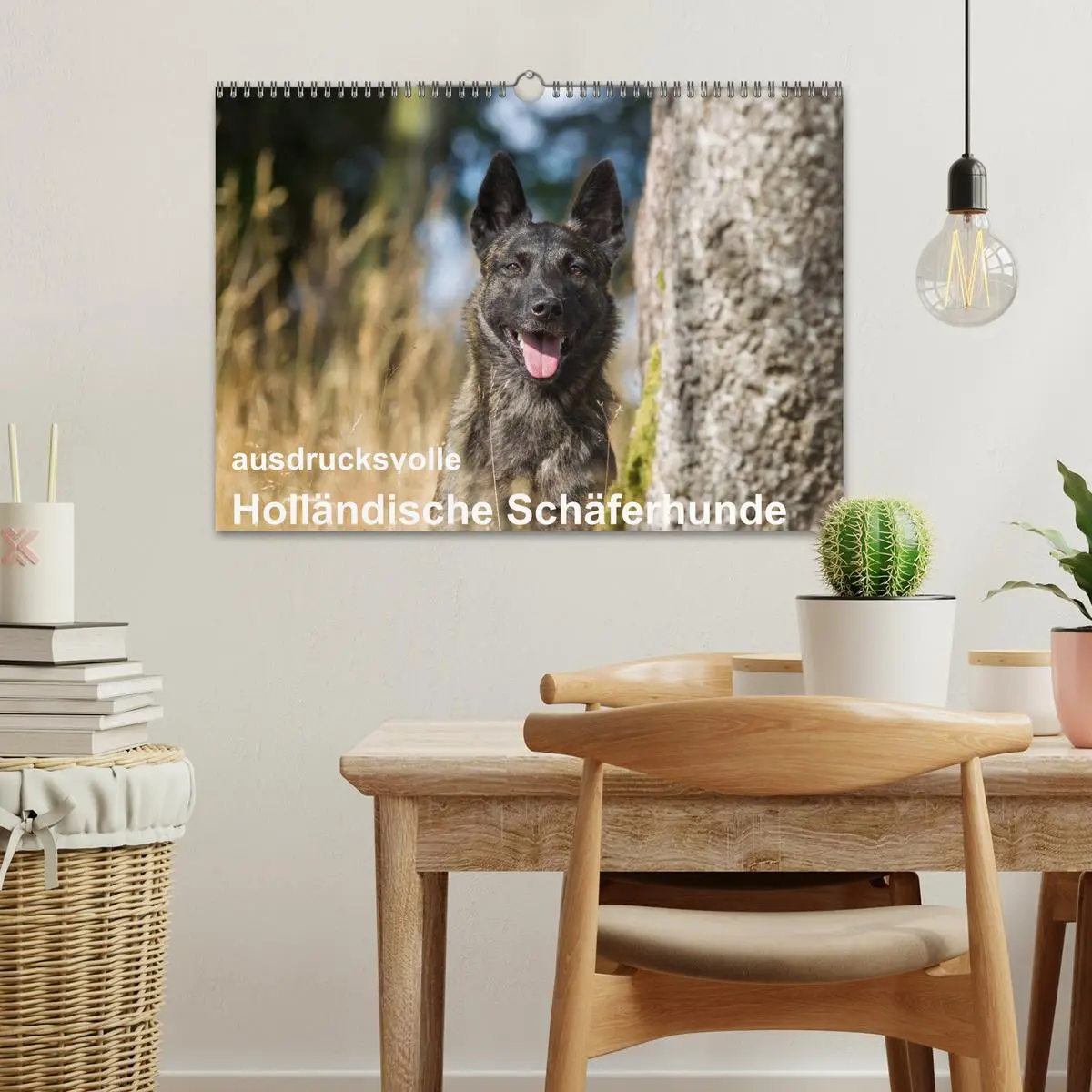 Bild: 9783516043044 | ausdrucksvolle Holländische Schäferhunde (Wandkalender 2026 DIN A3...