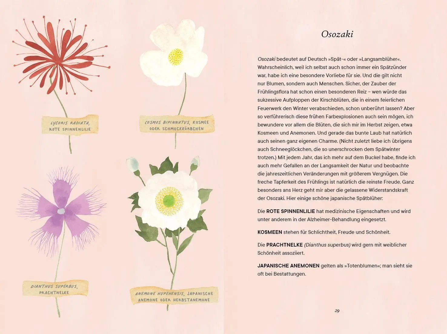 Bild: 9783747403044 | Shibui | Sanae Ishida | Buch | 160 S. | Deutsch | 2026 | mvg Verlag
