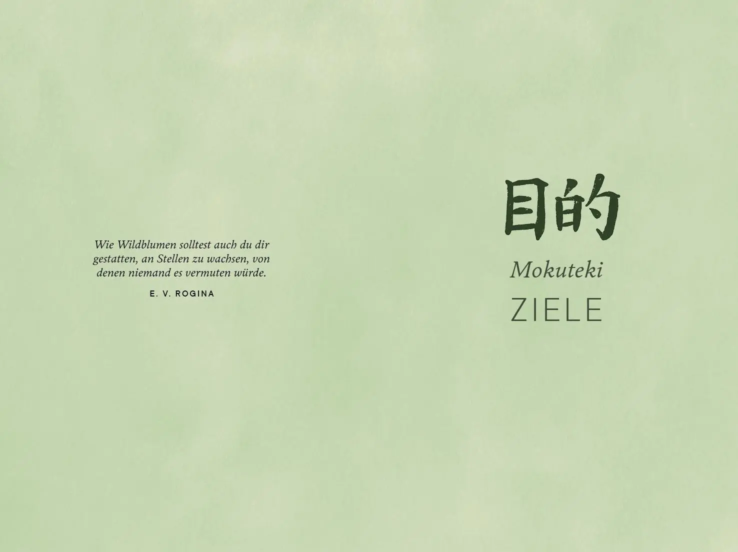 Bild: 9783747403044 | Shibui | Sanae Ishida | Buch | 160 S. | Deutsch | 2026 | mvg Verlag