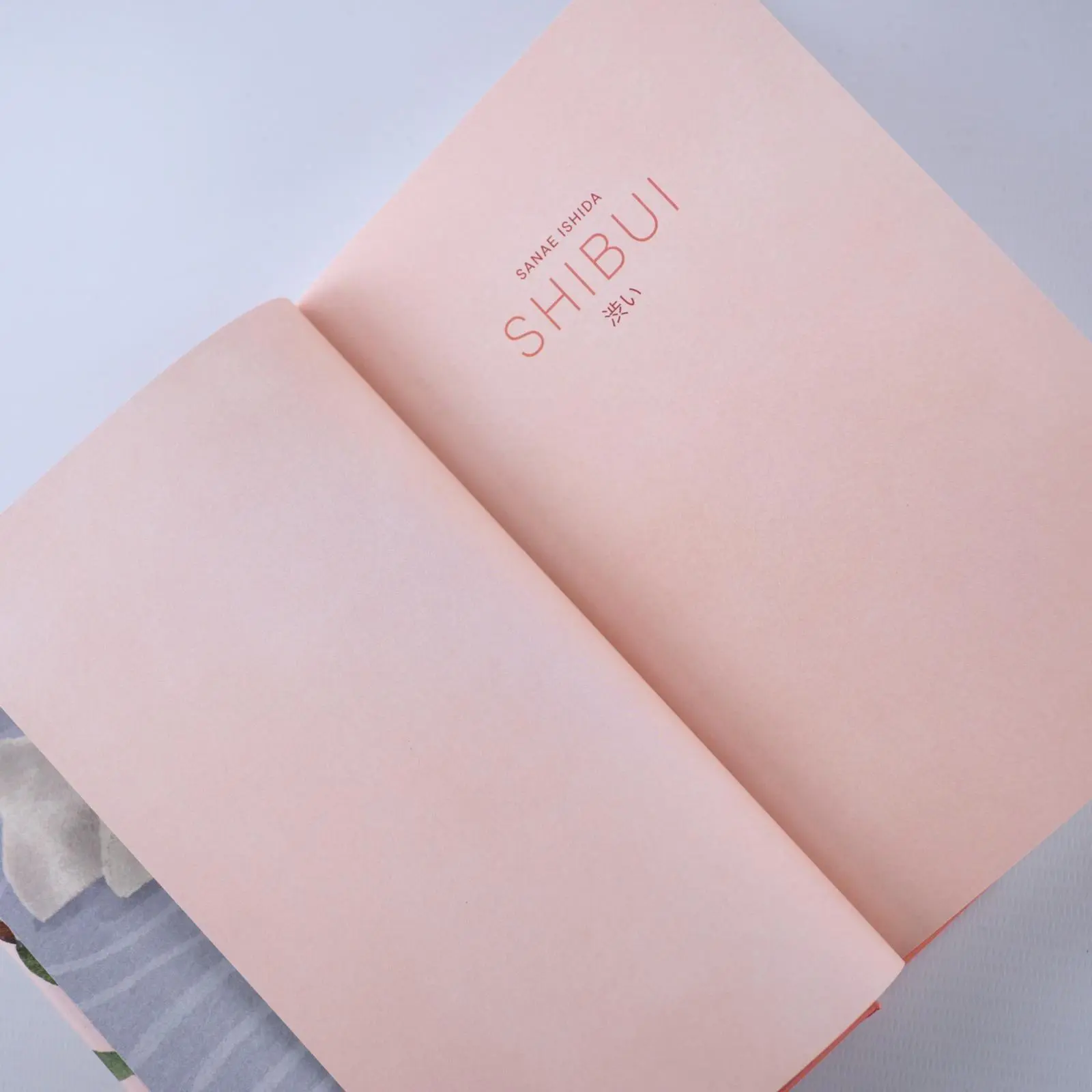 Bild: 9783747403044 | Shibui | Sanae Ishida | Buch | 160 S. | Deutsch | 2026 | mvg Verlag