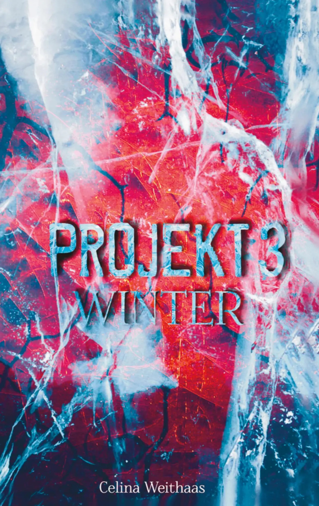 Cover: 9783347423244 | Winter | Projekt III | Celina Weithaas | Taschenbuch | 508 S. | 2021