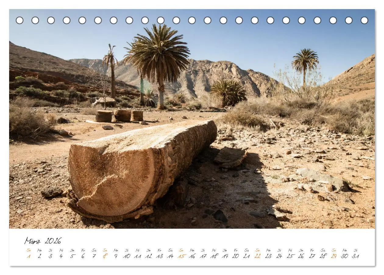 Bild: 9783457623244 | X Tage Fuerteventura - Strände, Vulkane und grandiose Landschaften...