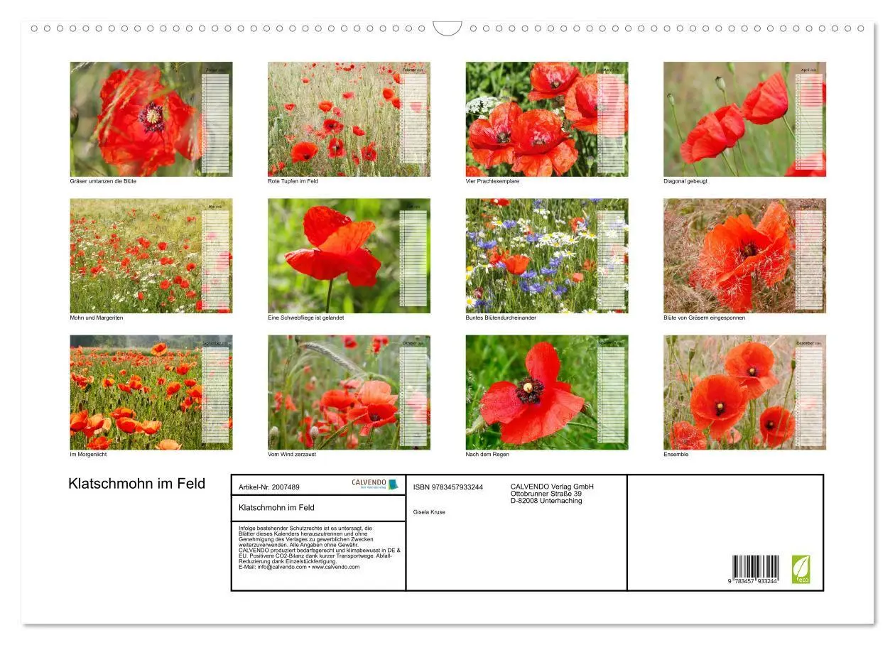 Bild: 9783457933244 | Klatschmohn im Feld (Wandkalender 2026 DIN A2 quer), CALVENDO...