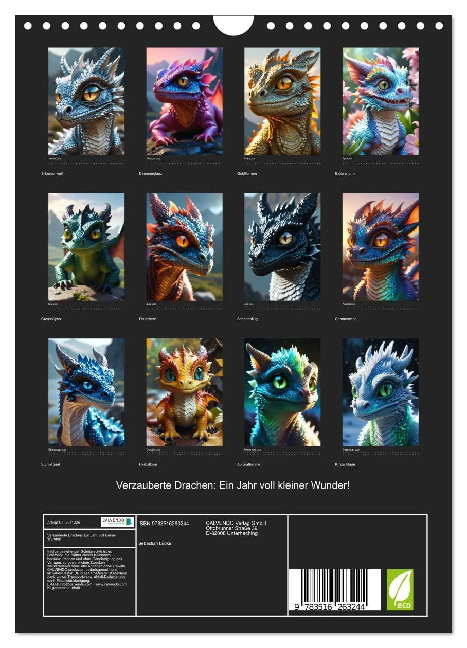 Bild: 9783516263244 | Verzauberte Drachen: Ein Jahr voll kleiner Wunder! (Wandkalender...