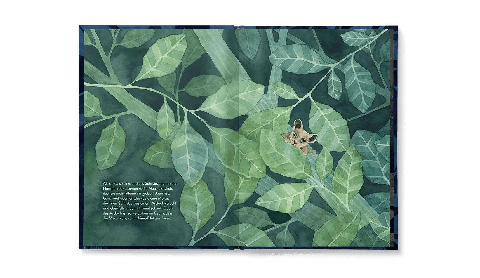 Bild: 9783948453244 | Maus &amp; Meise | Maike Kilian | Buch | 32 S. | Deutsch | 2024