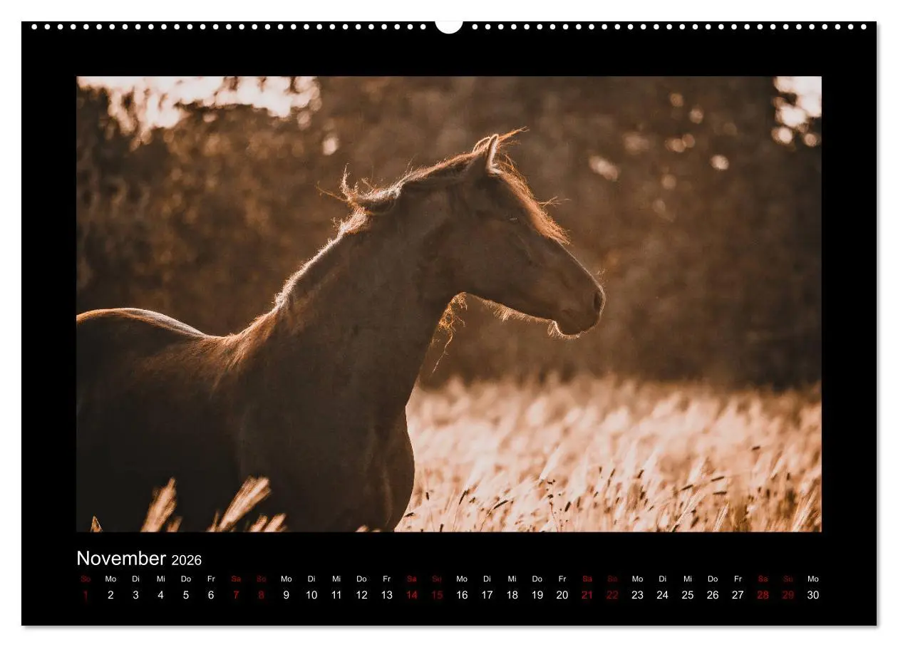 Bild: 9783457923344 | Die Faszinierende Welt der Pferde (Wandkalender 2026 DIN A2 quer),...