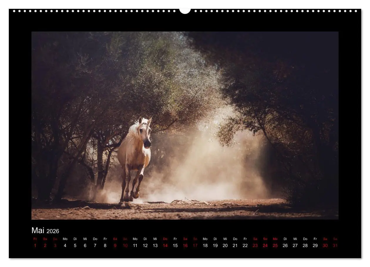Bild: 9783457923344 | Die Faszinierende Welt der Pferde (Wandkalender 2026 DIN A2 quer),...