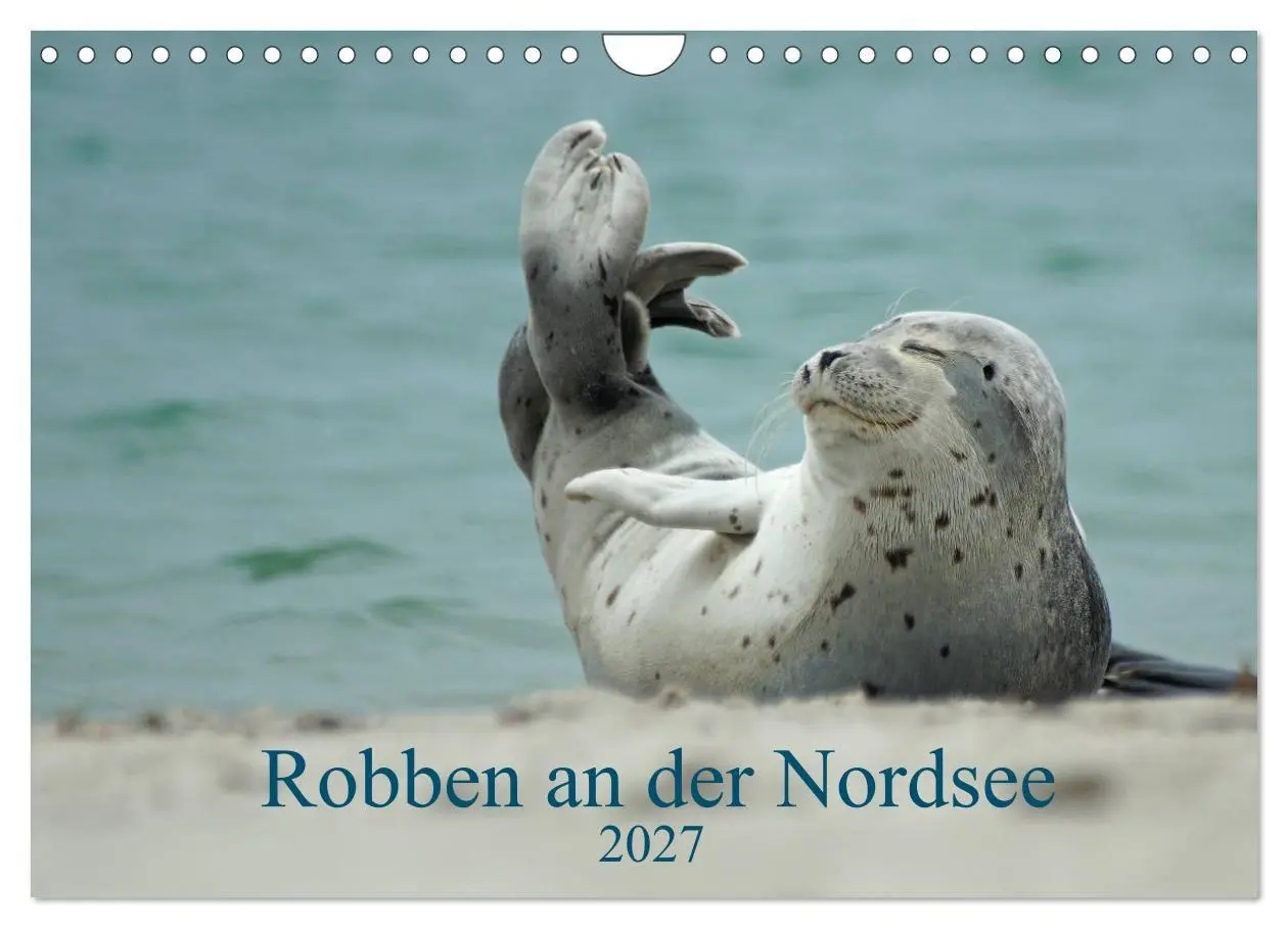 Cover: 9783569893344 | Robben an der Nordsee (Wandkalender 2027 DIN A4 quer), CALVENDO...