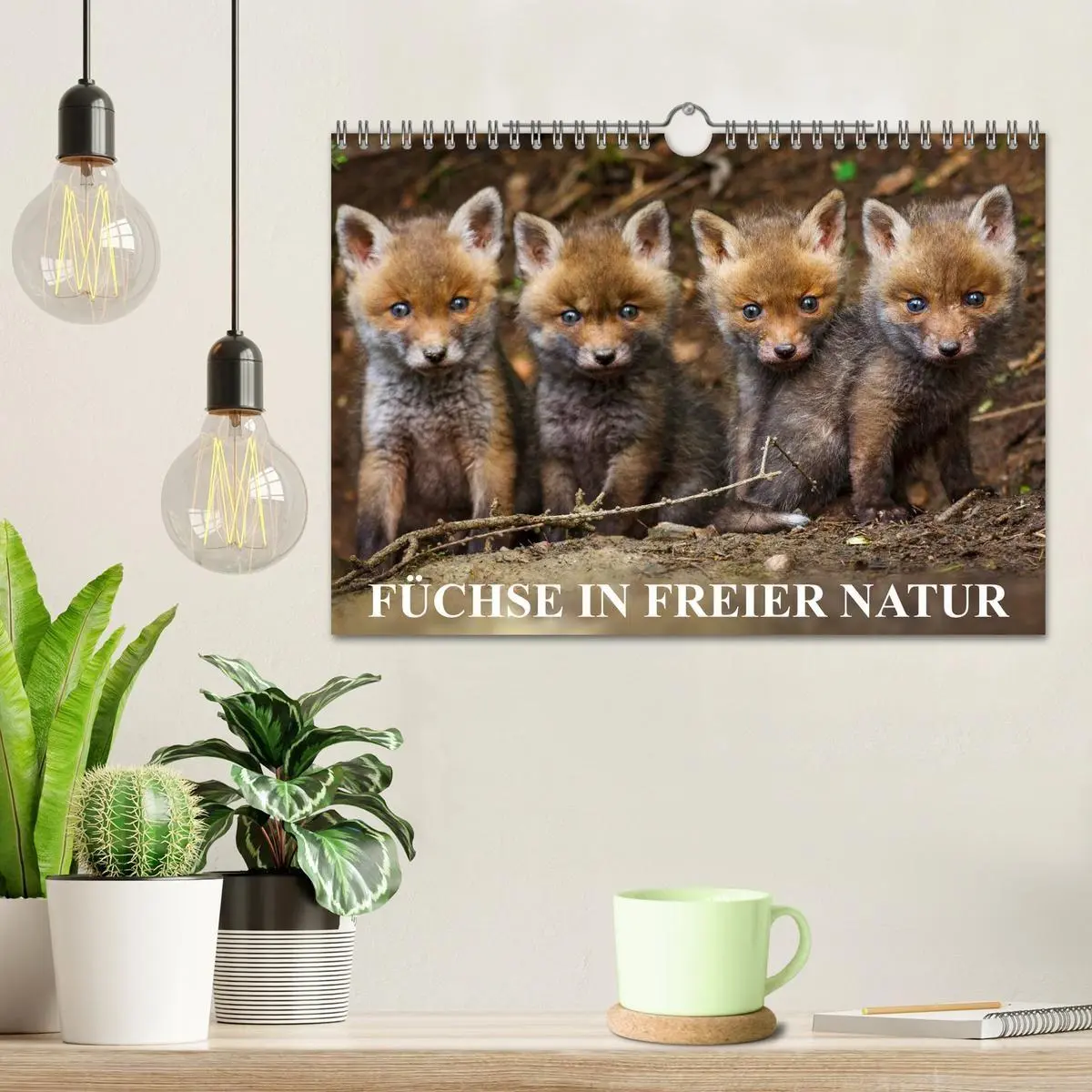 Bild: 9783594163344 | Füchse in freier Natur (Wandkalender 2027 DIN A4 quer), CALVENDO...