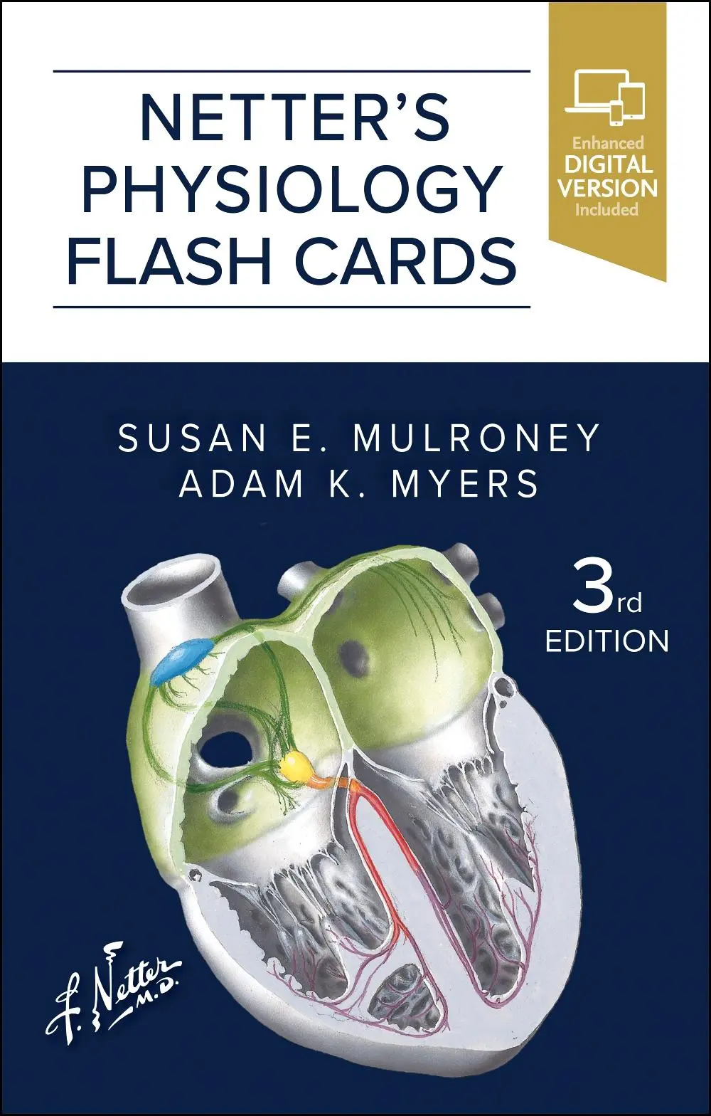 Cover: 9780443113444 | Netter's Physiology Flash Cards | Susan Mulroney (u. a.) | Box | 2024
