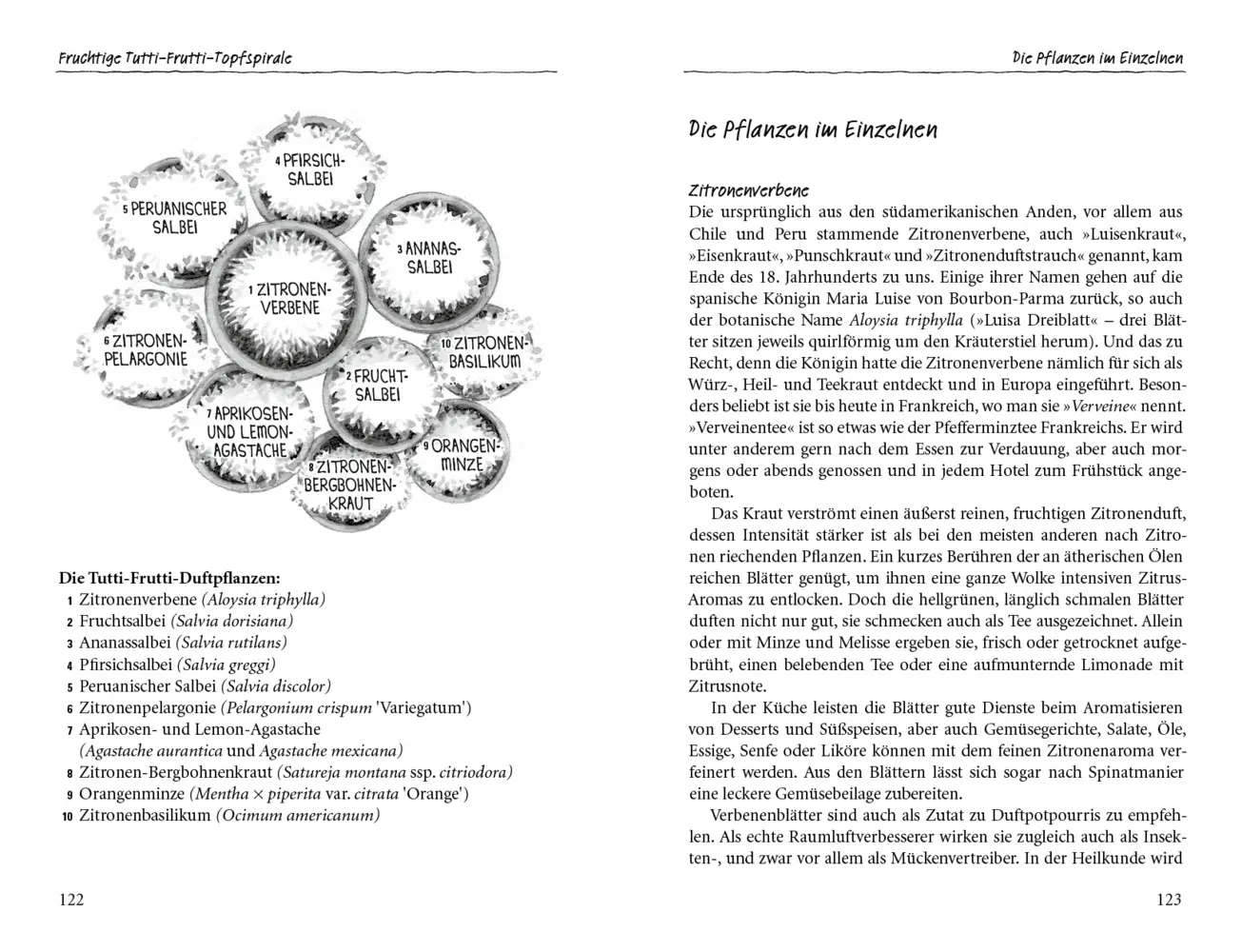 Bild: 9783895663444 | Duftoase Kräuterspirale | Irmela Erckenbrecht | Buch | 200 S. | 2015
