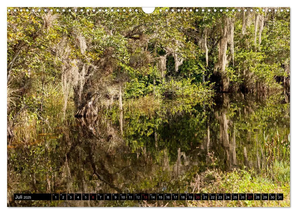 Bild: 9783435743544 | Miami und Florida (Wandkalender 2025 DIN A3 quer), CALVENDO...