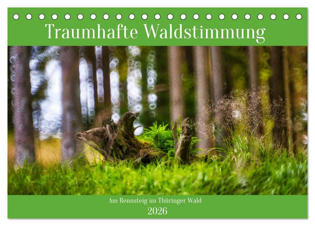 Cover: 9783457383544 | Traumhafte Waldstimmung am Rennsteig im Thüringer Wald...