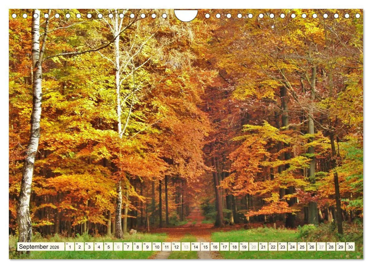 Bild: 9783457903544 | Rotenburg - Die bunte Stadt an der Wümme (Wandkalender 2026 DIN A4...