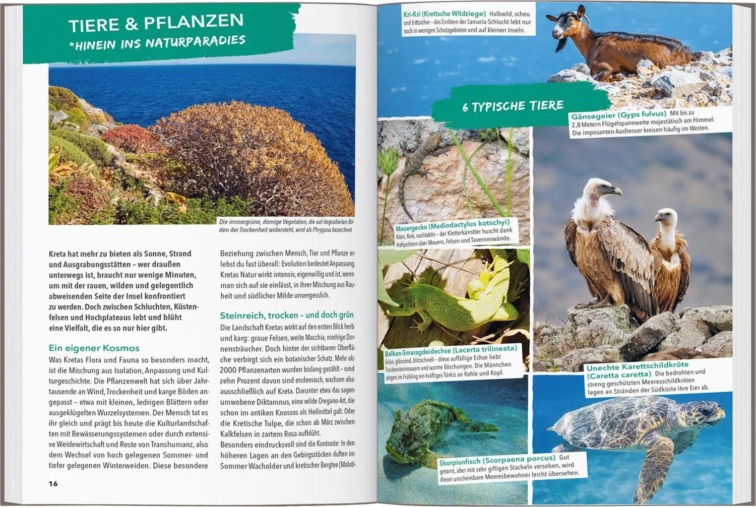 Bild: 9783575023544 | MARCO POLO OUTDOOR GUIDE Reiseführer Kreta | Jörg Dauscher | Buch