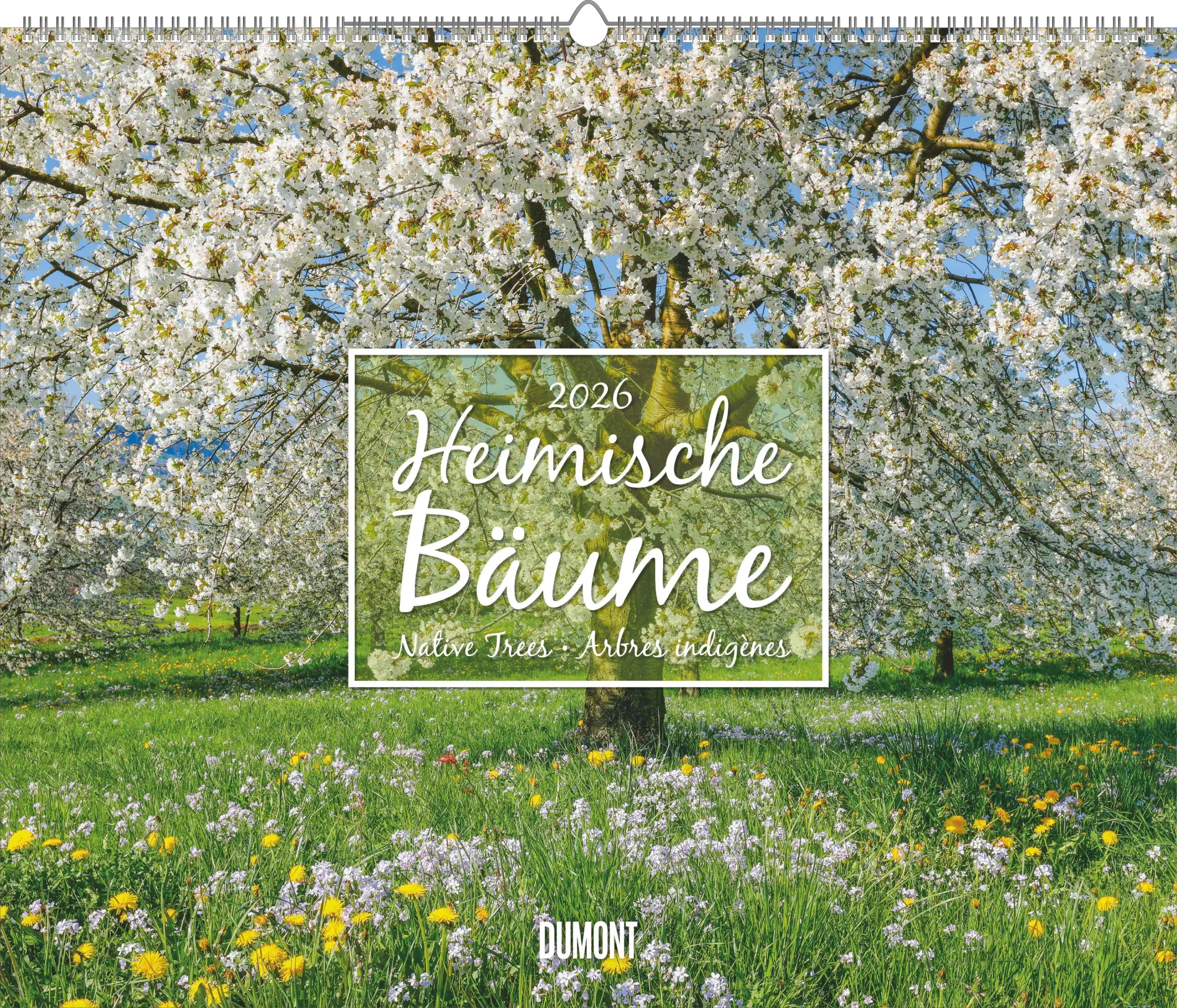Cover: 4069095003644 | Heimische Bäume 2026 - Wandkalender 60x50 cm - Spiralbindung | 14 S.