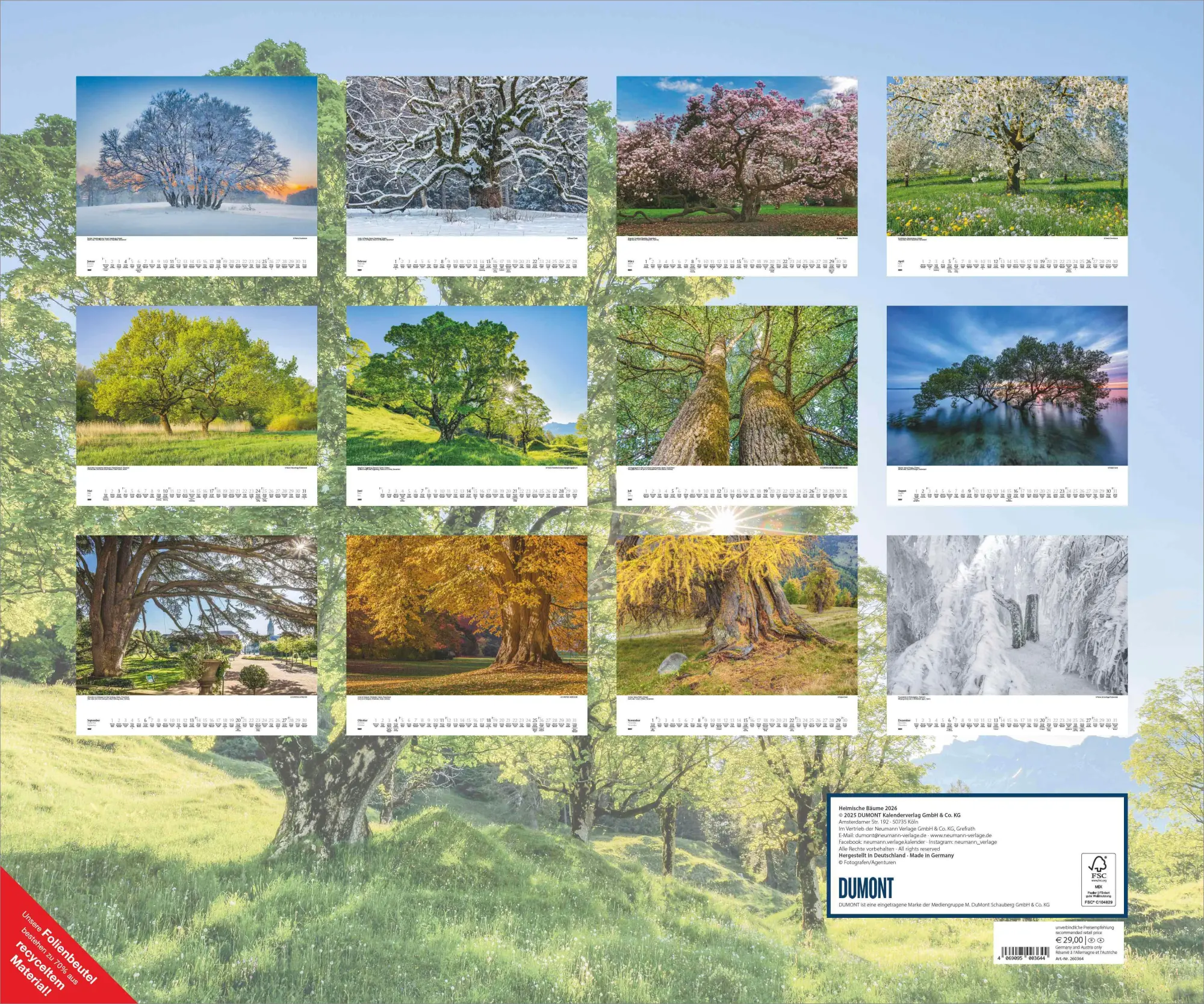 Bild: 4069095003644 | Heimische Bäume 2026 - Wandkalender 60x50 cm - Spiralbindung | 14 S.