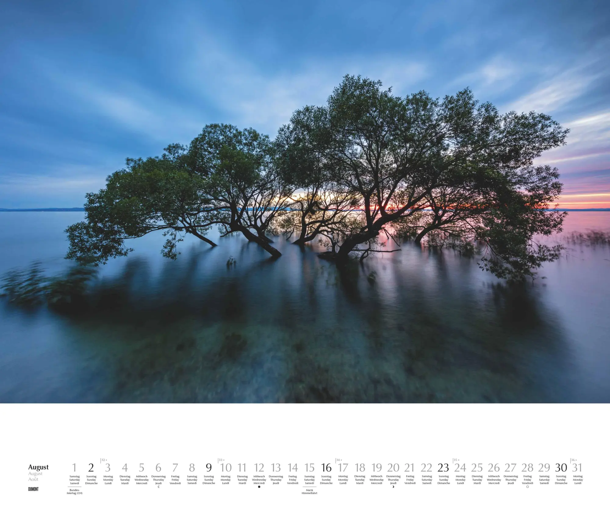 Bild: 4069095003644 | Heimische Bäume 2026 - Wandkalender 60x50 cm - Spiralbindung | 14 S.