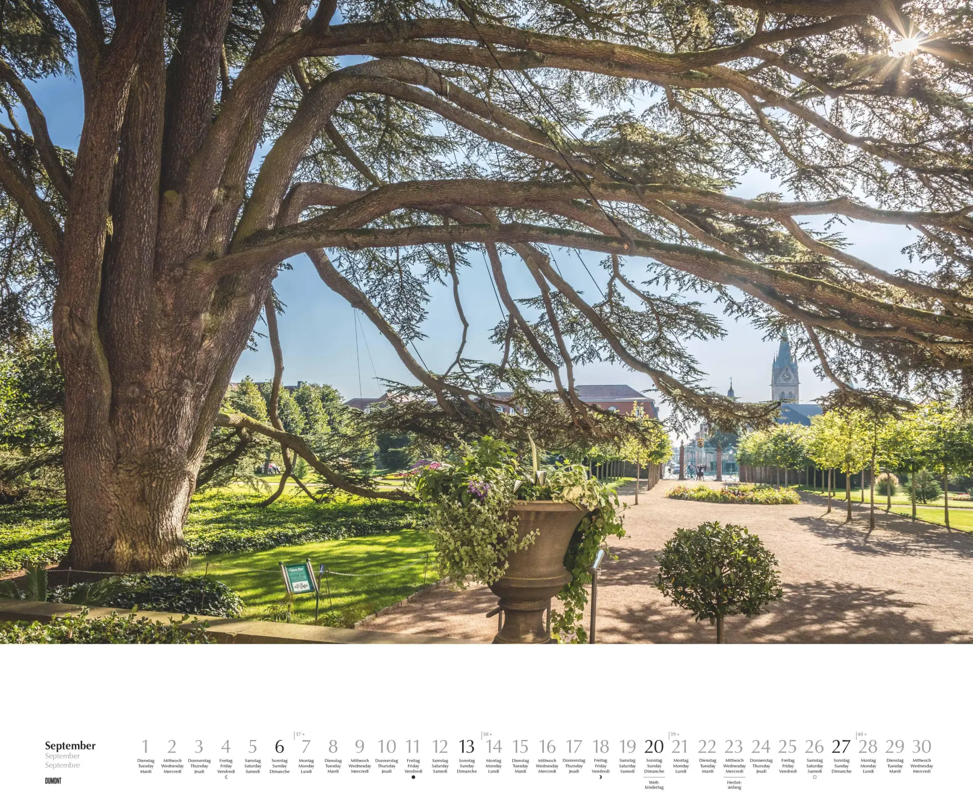 Bild: 4069095003644 | Heimische Bäume 2026 - Wandkalender 60x50 cm - Spiralbindung | 14 S.