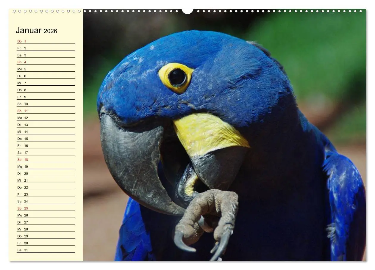 Bild: 9783457993644 | Brasilien. Faszinierend und groß wie ein Kontinent (Wandkalender...