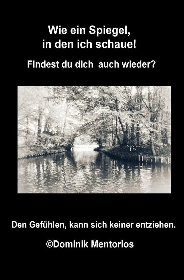 Cover: 9783750243644 | Wie ein Spiegel in den ich schaue! | Findest du dich auch wieder?