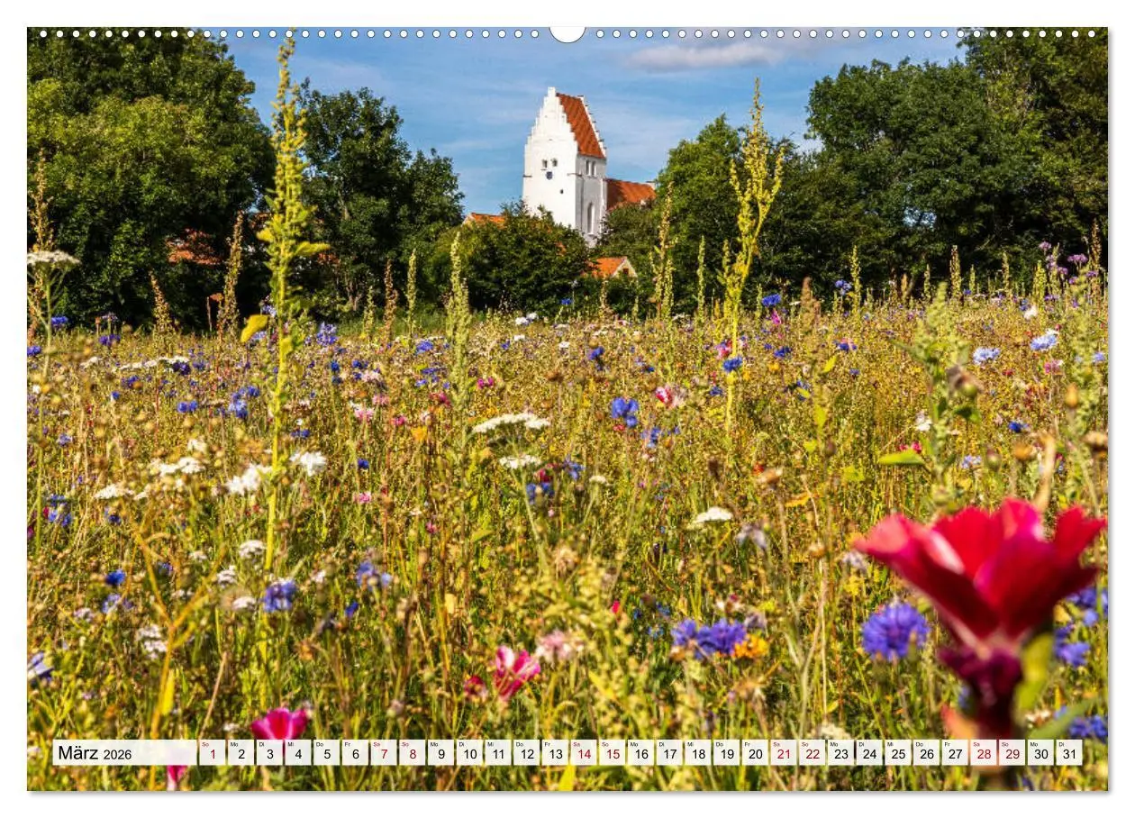 Bild: 9783457673744 | Dänemark - Insel Mön (Wandkalender 2026 DIN A2 quer), CALVENDO...