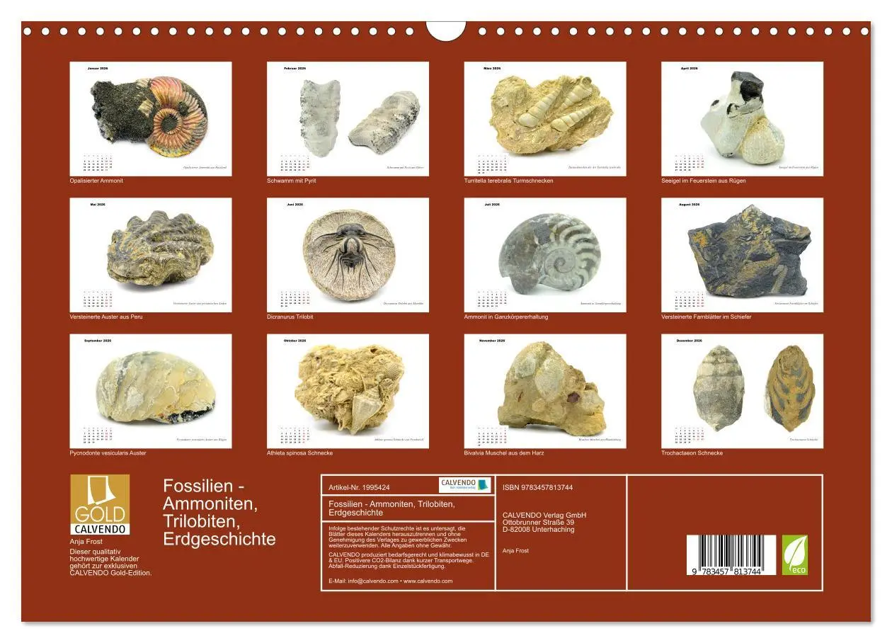 Bild: 9783457813744 | Fossilien - Ammoniten, Trilobiten, Erdgeschichte (Wandkalender 2026...