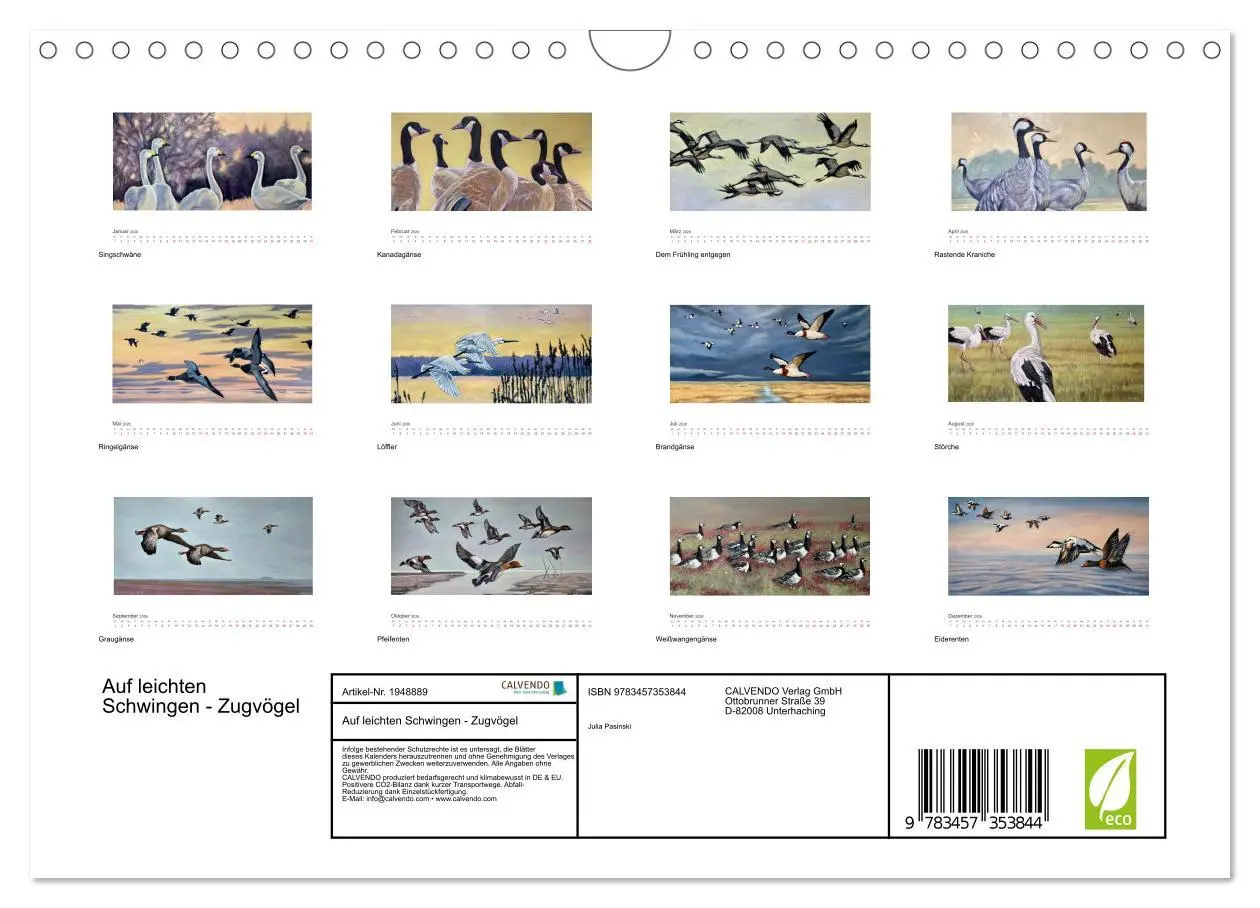 Bild: 9783457353844 | Auf leichten Schwingen - Zugvögel (Wandkalender 2026 DIN A4 quer),...